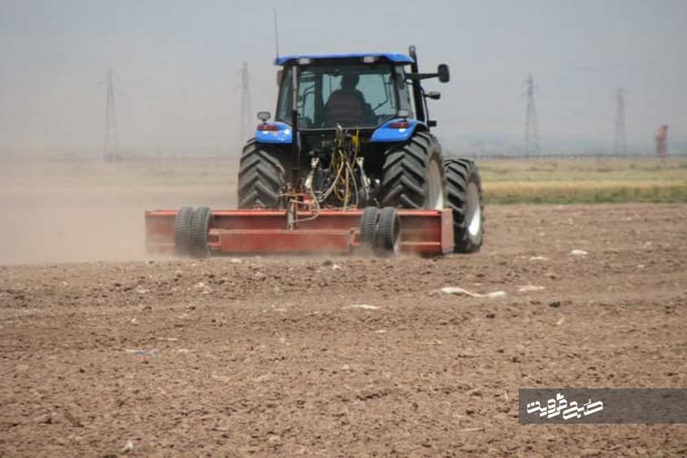۱۵۸ هزار هکتار از مزارع کشاورزی قزوین به زیر کشت گندم می‌رود