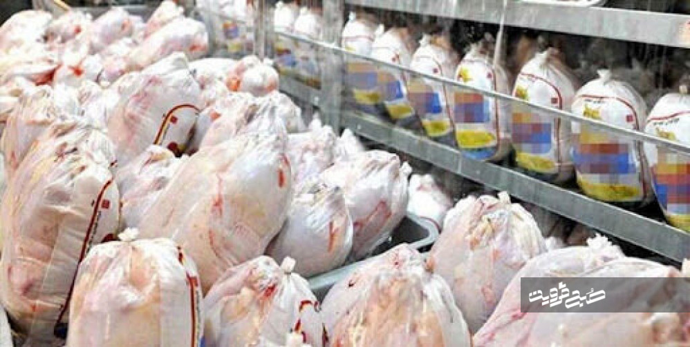 بیش از یک میلیون قطعه مرغ در قزوین کشتار و به بازار عرضه شد