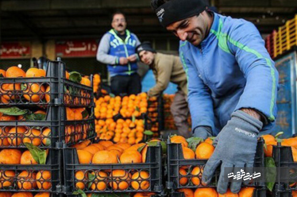 آخرین قیمت میوه و تره بار در بازار قزوین