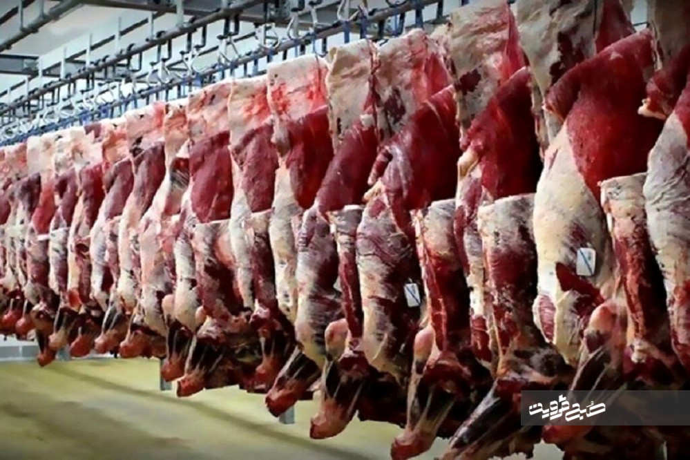 صادرات؛ عامل اصلی افزایش نرخ گوشت قرمز