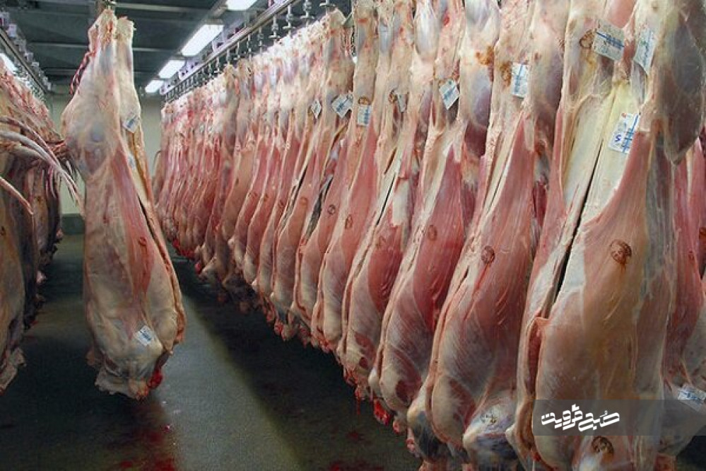 علت افزایش قیمت گوشت گوسفندی در قزوین چیست؟