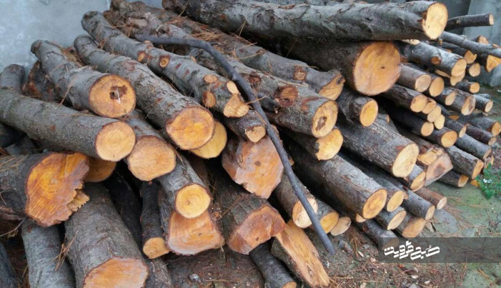 از کشف ۱۳۶تن چوب قاچاق تا کشف سوخت قاچاق در استان