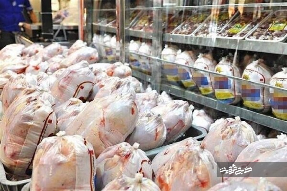 توزیع مرغ گرم و زنده خارج از شبکه در قزوین ممنوع است