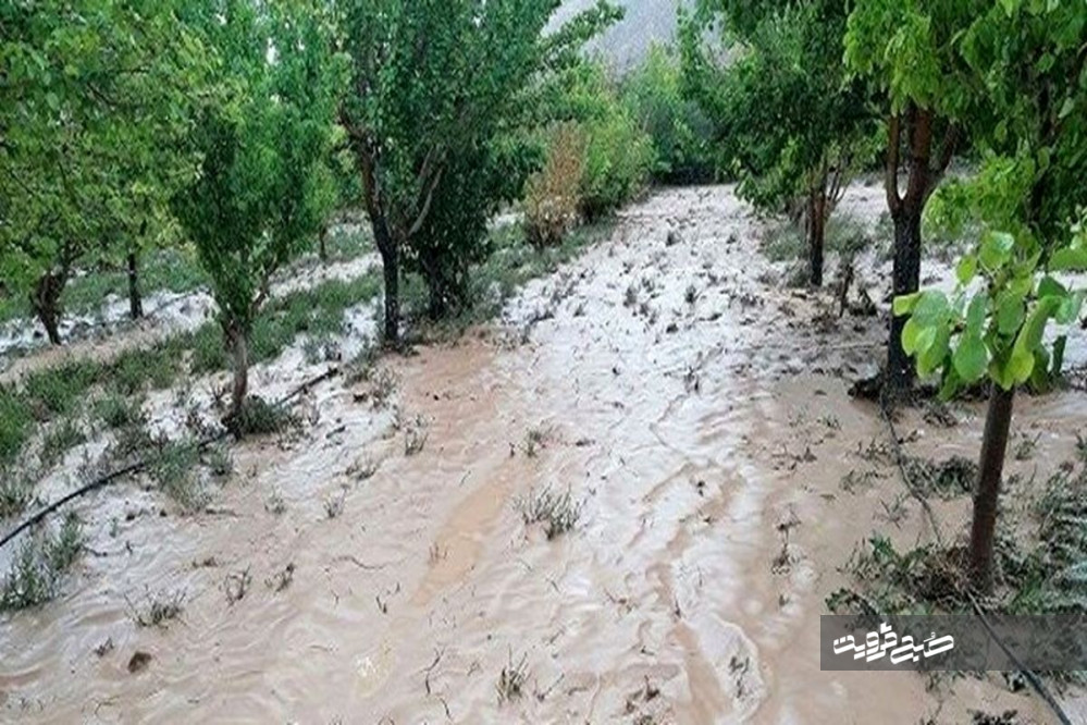 خسارت سیل به چهار روستای الموت غربی