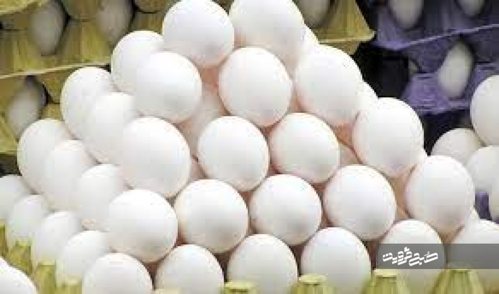 نظارت دامپزشکی قزوین بر صادرات بیش از هزار تن تخم مرغ