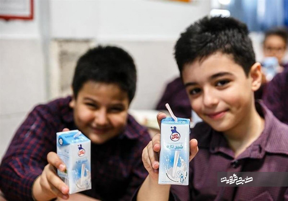 توزیع «شیر رایگان» در مدارس دولتی قزوین آغاز می‌شود
