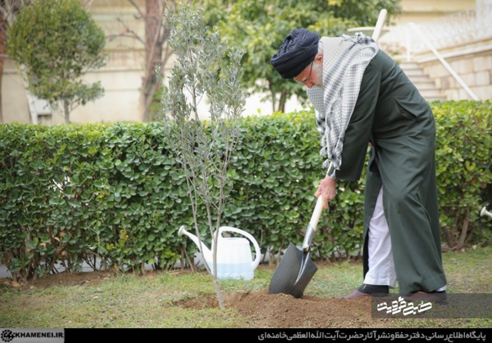 کاشت نهال توسط رهبر انقلاب در روز درختکاری