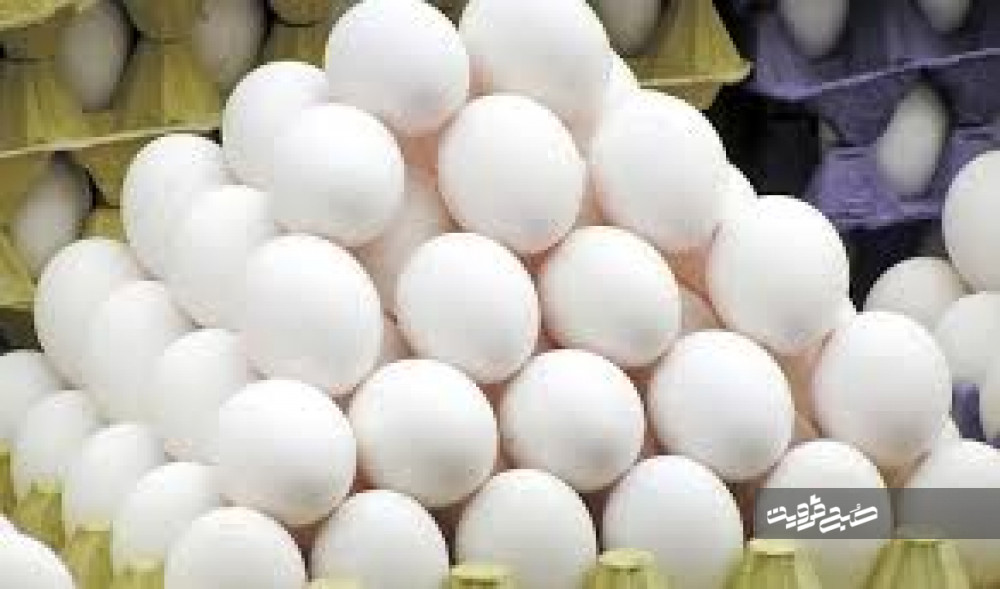 رشد ۱۷ درصدی تولید تخم مرغ در استان قزوین
