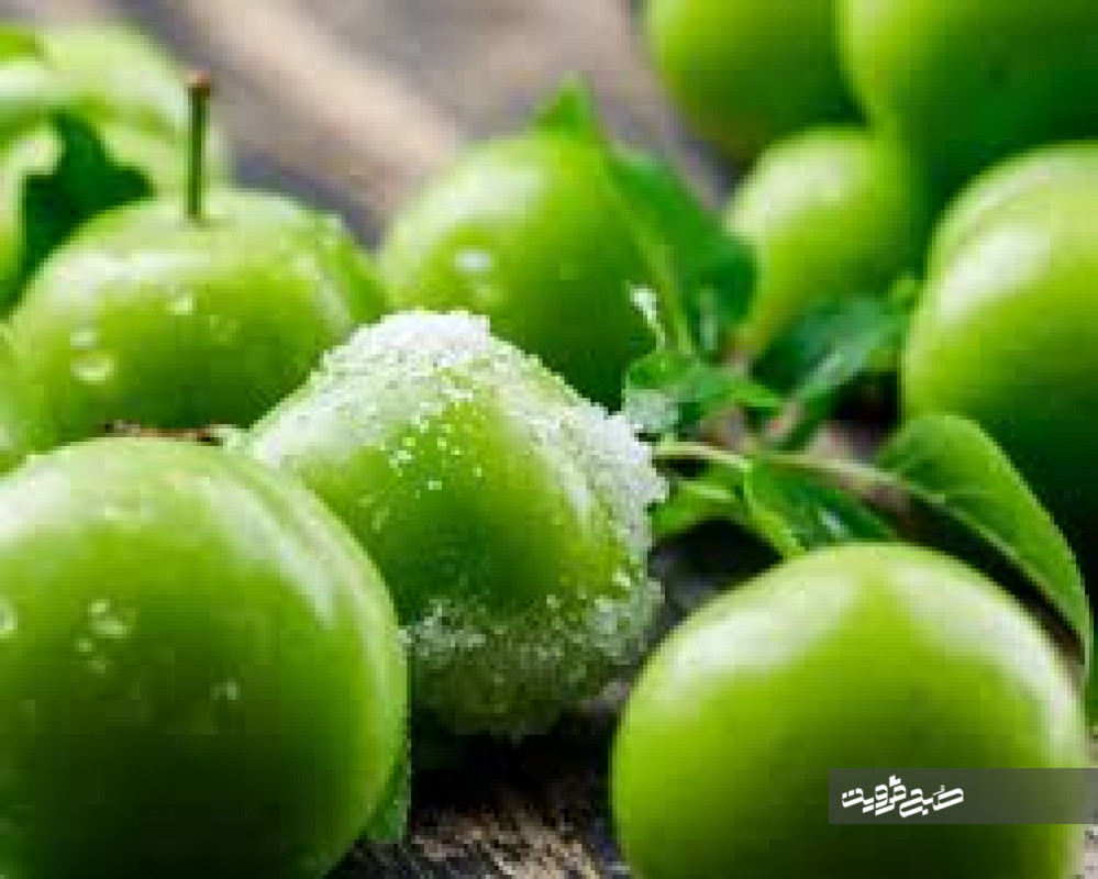 گوجه سبز قزوین روانه بازار می‌شود