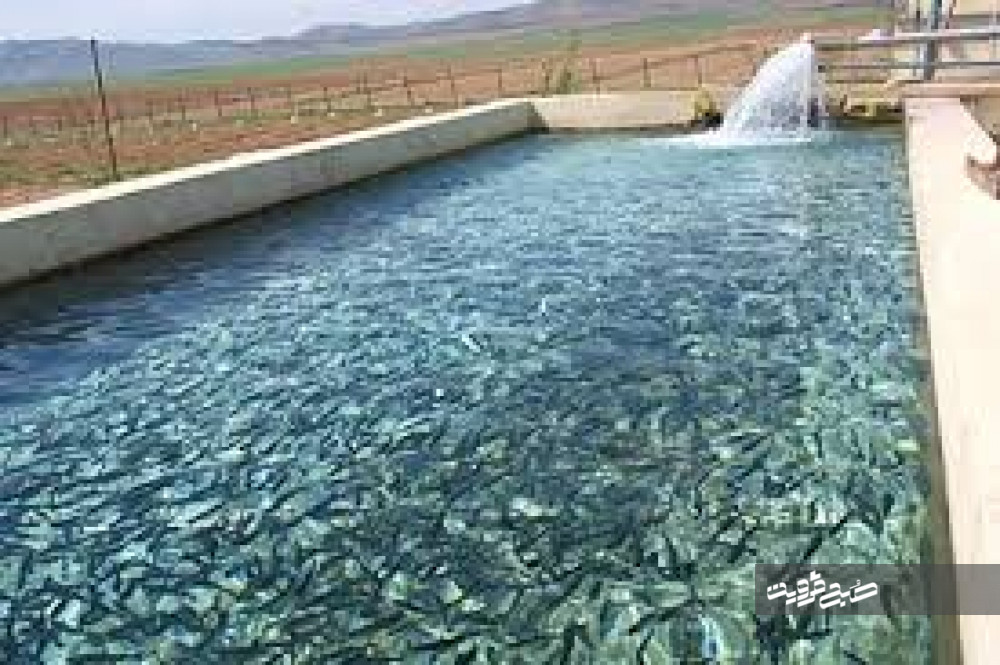 پیش‌بینی تولید ۸۹ تن ماهی در شهرستان البرز
